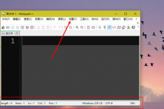 Notepad++如何隐藏状态栏?Notepad++隐藏状态栏的方法