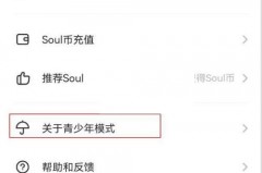 soul怎么开启青少年模式?soul开启青少年模式方法